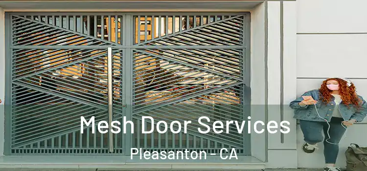 Mesh Door Services Pleasanton - CA